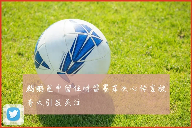 鹈鹕重申留住特雷墨菲决心传言被夸大引发关注